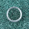 FGB 11/0 Grade A Glass Seed Beads SEED-S030-1216-3