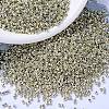 MIYUKI Delica Beads X-SEED-J020-DB1831-1