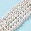 Natural Cultured Freshwater Pearl Beads Strands PEAR-E018-10-2