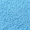 MIYUKI Round Rocailles Beads SEED-X0056-RR0413-2