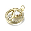 Brass Micro Pave Clear Cubic Zirconia Pendants KK-V010-11G-2