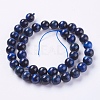 Natural Tiger Eye Beads Strands G-G544-10mm-04-2
