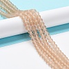 Transparent Glass Beads Strands X-EGLA-A034-T10mm-MD20-2