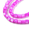 Natural Freshwater Shell Beads Strands SHEL-N003-33-A05-3