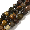 Natural Petrified Wood Beads Strands G-B078-D18-01-1