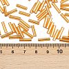 Silver Lined Transparent Glass Bugle Beads SEED-R028-2x9-B01-2