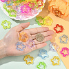 100Pcs Transparent Acrylic Pendants TACR-SP0001-33-4