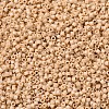 MIYUKI Delica Beads Small SEED-X0054-DBS0389-3