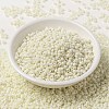 MIYUKI Round Rocailles Beads SEED-G008-RR2021-2