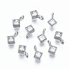 925 Sterling Silver Cubic Zirconia Charms STER-ZX003-02P-NF-1
