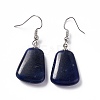 Natural Sodalite Trapezoid Dangle Earrings EJEW-D188-02P-07-2