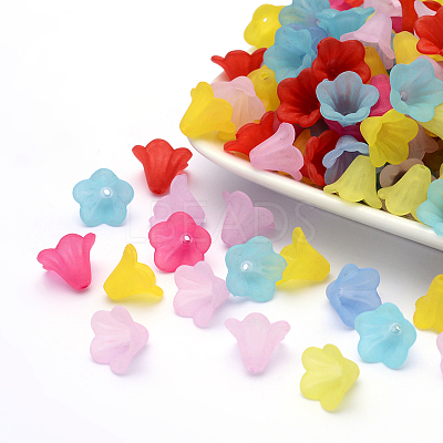 Frosted Acrylic Beads PL692-1