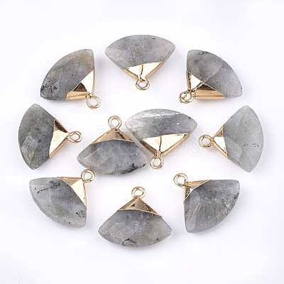 Electroplate Natural Labradorite Pendants G-T112-04A-1