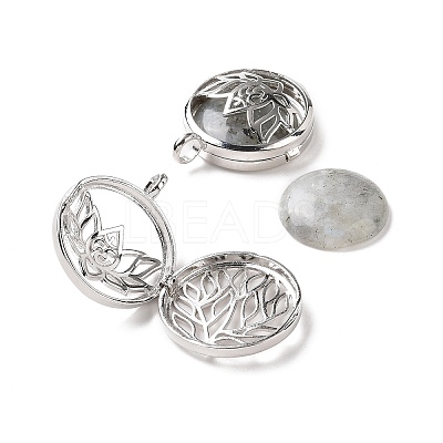 Natural Labradorite Locket Pendants G-G982-01P-20-1