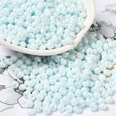 6/0 Glass Seed Beads SEED-M012-01A-13-1