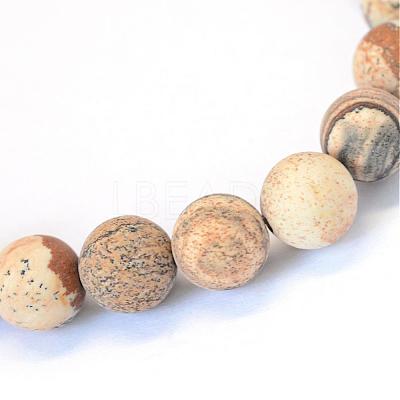 Frosted Natural Picture Jasper Round Bead Strands G-E334-8mm-26-1
