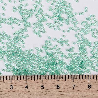 MIYUKI Round Rocailles Beads X-SEED-G009-RR0571-1