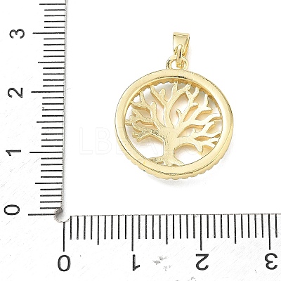 Brass Rhinestone Pendants RB-CBACCCF-04G-1