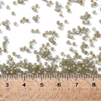 TOHO Round Seed Beads SEED-JPTR11-0369FM-1