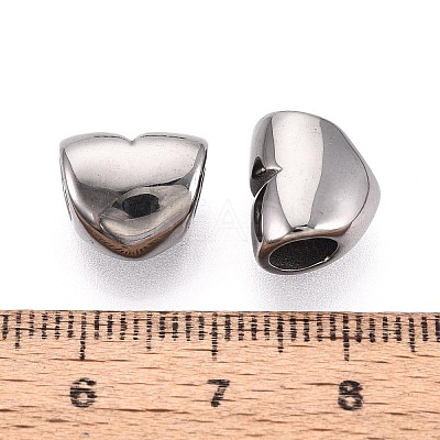 304 Stainless Steel European Style Large Hole Beads STAS-T072-141P-1