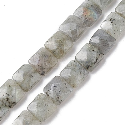 Natural Labradorite Beads Strands G-K359-B17-01-1