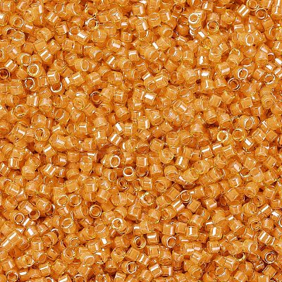 MIYUKI Delica Beads SEED-X0054-DB2045-1