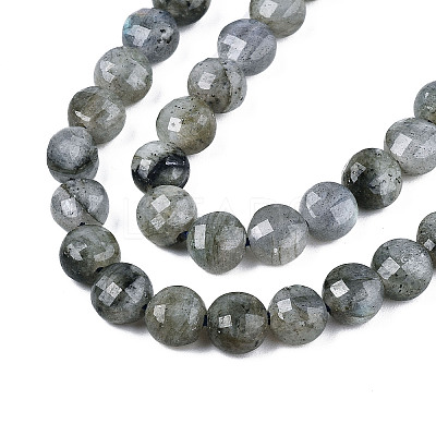 Natural Labradorite Beads Strands X-G-S354-24-A-1