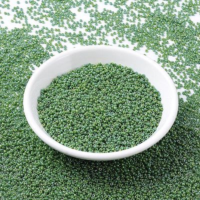 MIYUKI Round Rocailles Beads X-SEED-G007-RR0480-1