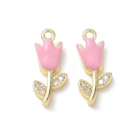 Brass Micro Pave Clear Cubic Zirconia and Enamel Charms KK-A300-22G-04-1