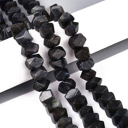 Natural Larvikite Beads Strands G-N327-05-28-1