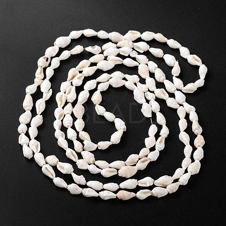 Natural Sea Shell Conch Bead Strands BSHE-O009-06-1