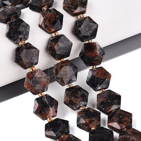 Natural Labradorite Beads Strands G-N368-01A-20-1