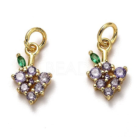 Brass Micro Pave Cubic Zirconia Charms ZIRC-H119-05G-1