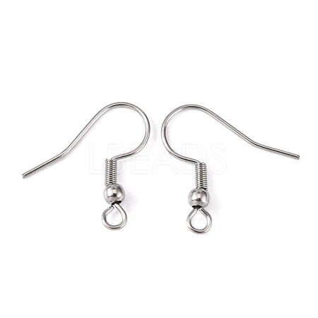 Tarnish Resistant 316 Surgical Stainless Steel Earring Hooks X-STAS-O032-01-1