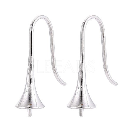 304 Stainless Steel Earring Hooks X-STAS-N108-30P-1