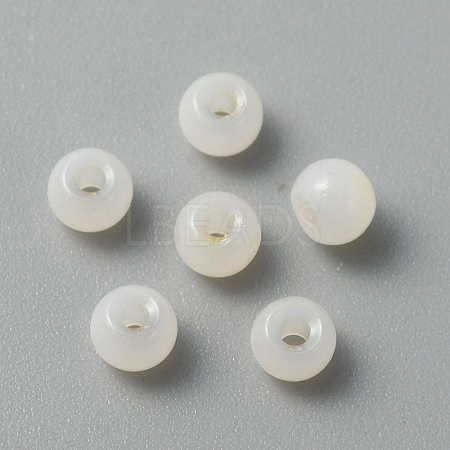 Handmade Lampwork Beads LAMP-TAC0001-05K-1