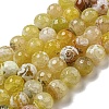 Faceted Natural Fire Crackle Agate Beads Strands G-F447-12mm-N02-2