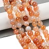 Natural Red Agate Beads Strands G-A248-A06-04-1