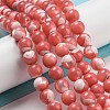 Dyed Natural Trochus Shell Beads Strands BSHE-G034-25A-2