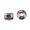 TOHO Round Seed Beads X-SEED-TR08-0927-3