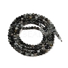 Natural Eagle Eye Stone Beads Strands G-RM250101-E6-5