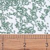 MIYUKI Delica Beads X-SEED-J020-DB1171-4