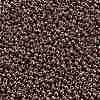 TOHO 11/0 Round Beads X-SEED-TR11-0460-2