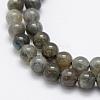 Natural Labradorite Beads Strands G-P322-31-6mm-3