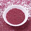 MIYUKI Delica Beads X-SEED-J020-DB1841-2
