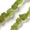 Raw Rough Natural Peridot Beads Strands G-P528-B05-01-1