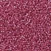 MIYUKI Delica Beads X-SEED-J020-DB1338-3