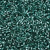Glass Bugle Beads SEED-S032-08A-51A-3