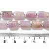 Natural Kunzite Beads Strands G-N327-06-36-5