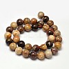 Natural Petrified Wood Round Bead Strands G-F266-08-10mm-2